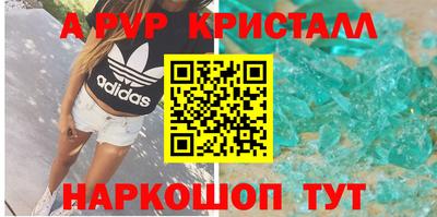 гашик Будённовск
