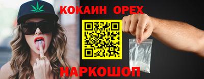гашик Будённовск