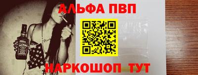 гашик Будённовск