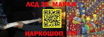 гашик Будённовск