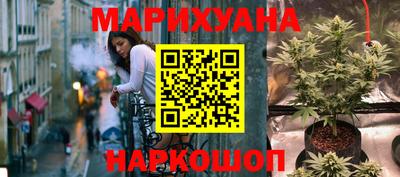 гашик Будённовск