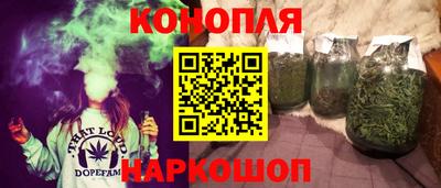 гашик Будённовск